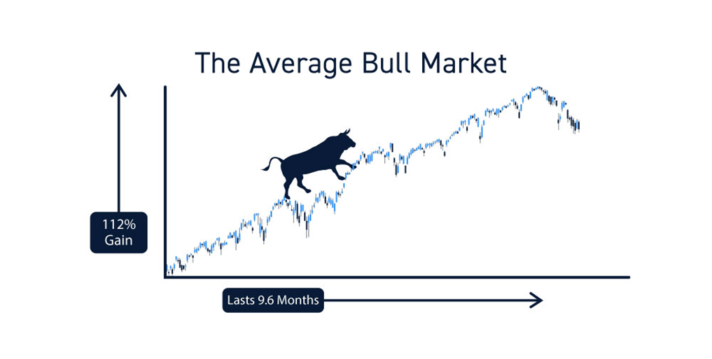 bull